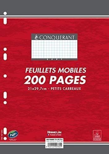 Feuillets mobiles 210 x 297 mm, 200 pages - 5x5